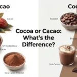 cocoa or cacao